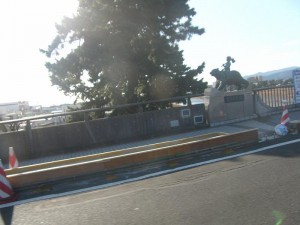 RIMG0296.jpg