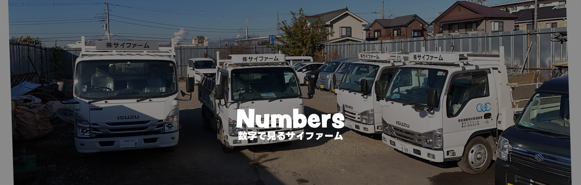 数字で見るサイファーム